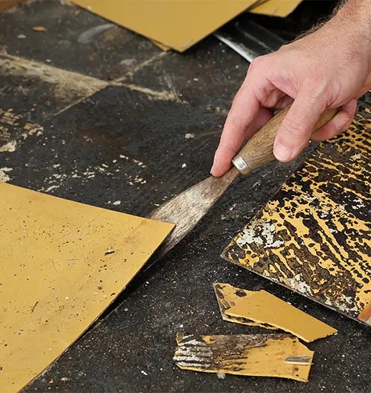 Next Level Floor Removal